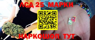 мет Камышлов