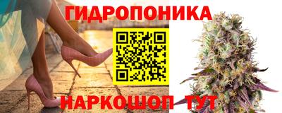 спиды Канаш