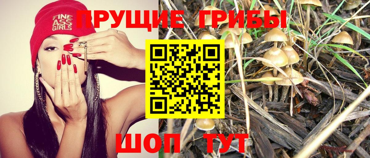 Псилоцибиновые грибы мухоморы Лянтор