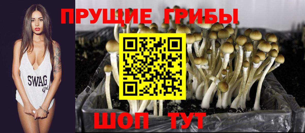 Псилоцибиновые грибы Cubensis  Вход с VPN  Лянтор 